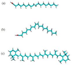 figure1.JPG